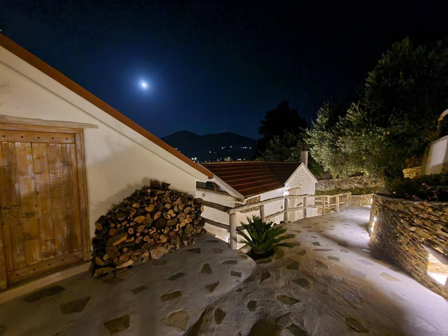 Christine'S House Villa Skopelos stad Exteriör bild